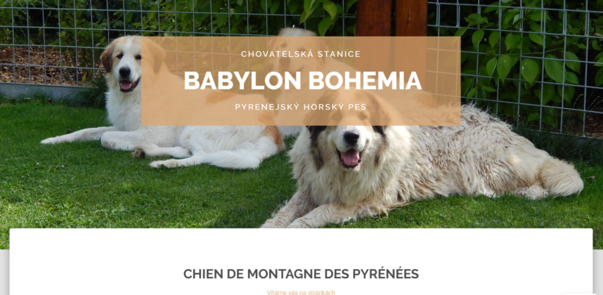 Babylon Bohemia